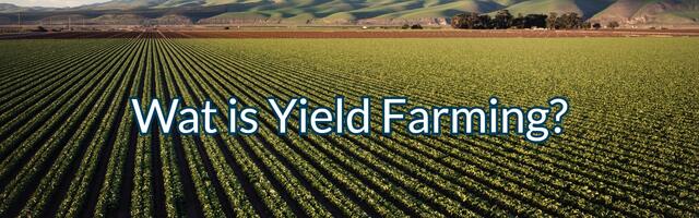 Achtergrondafbeelding van kroppenveld met de tekst wat is yield farming?