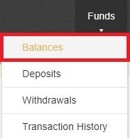Afbeelding voor het kopen van crypto om aan te geven waar je balans precies staat op Binance