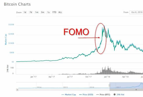 Een plaatje waarin te zien is waar mensen precies FOMO kregen tijdens de snelle prijsstijging van Bitcoin eind 2017.