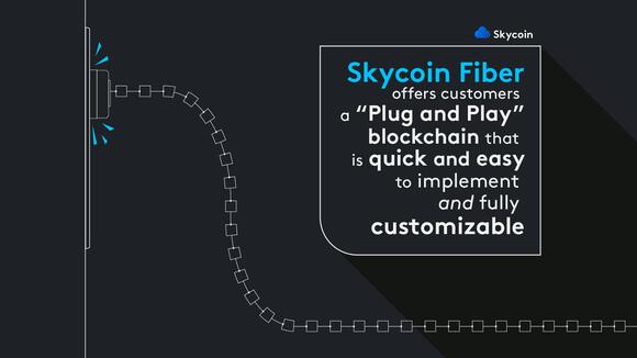 Skycoin Fiber afbeelding van een "plug and play" oplossing