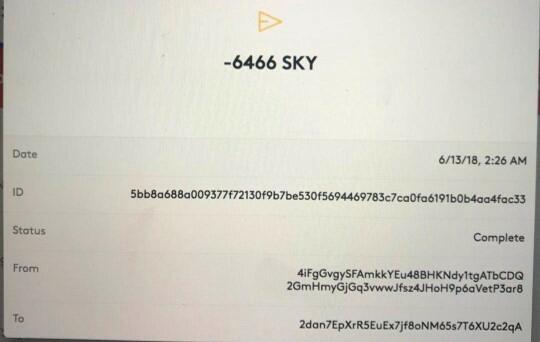 Skycoins gejat 6466