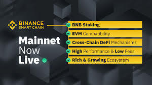Binance Smart Chain functies