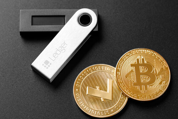 Ledger wallet met twee cryptomunten