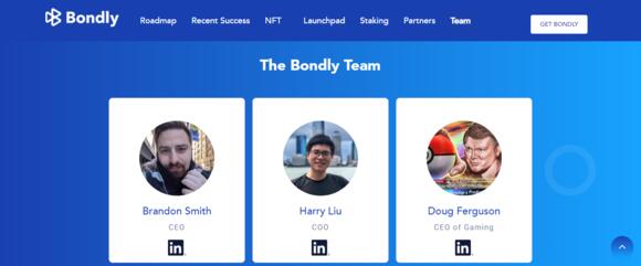 Screenshot van een deel van het Bondly team