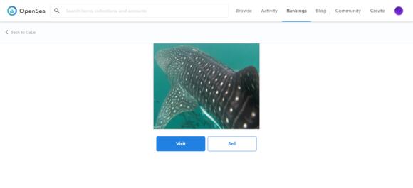 OpenSea screenshot 1 met uitleg hoe je een NFT op de martplaats kunt zetten