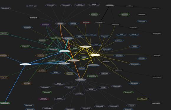 Lightning Network Podcast transacties