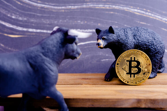 Bull vs. Bear