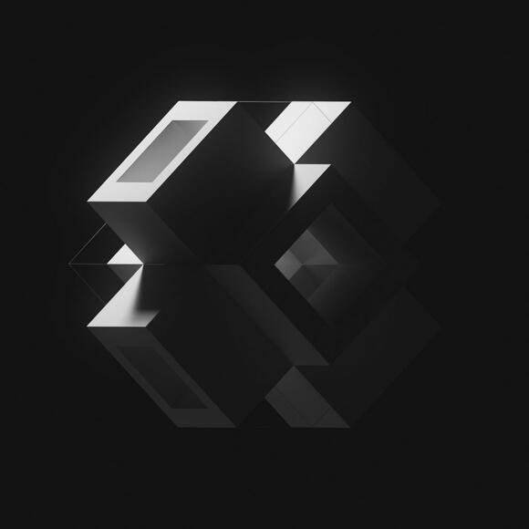 The Switch - Pak