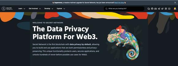 The Secret Netwrok Site