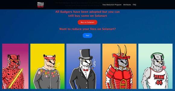 Solanart Bold Badgers Squad Websiste