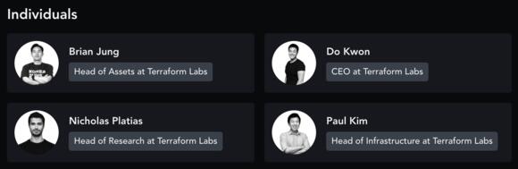 team terra luna