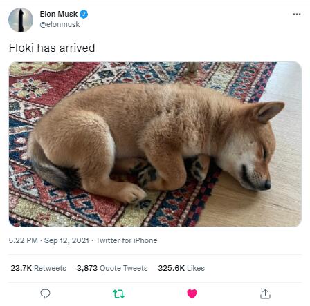 Een tweet van Elon Musk waarbij hij een foto deelt van zijn Shiba.