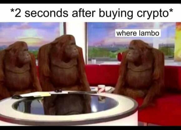 When Lambo crypto meme