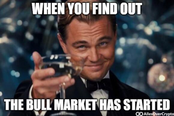 When you find out the bull market has started meme