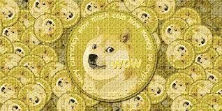 Dogecoin DOGE