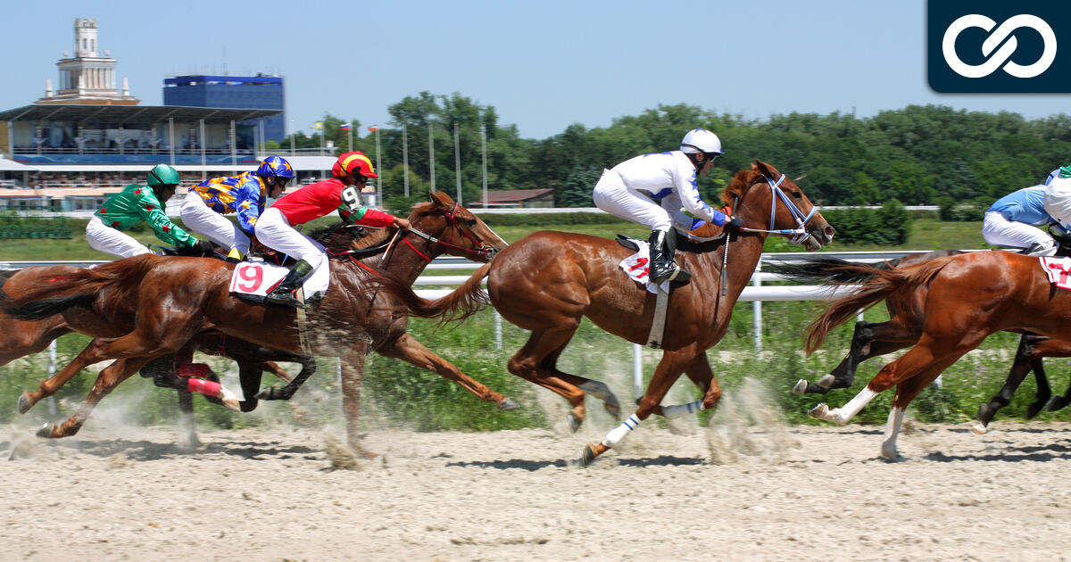 Wat is Silks Horse Racing? Complete uitleg van deze P2E Metaverse Game. AllesOverCrypto