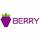 Berry Data logo Berry Data logo