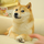 The Doge NFT logo The Doge NFT logo