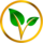 Vitae logo Vitae logo